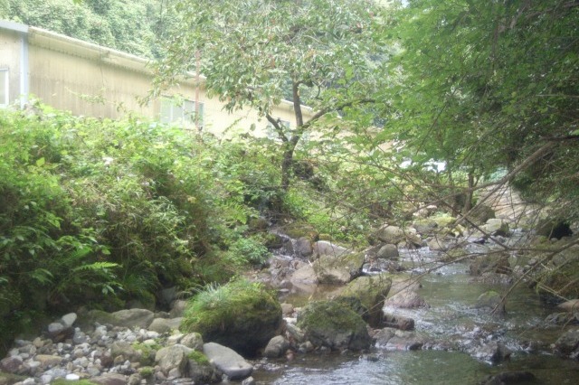 Before画像1
