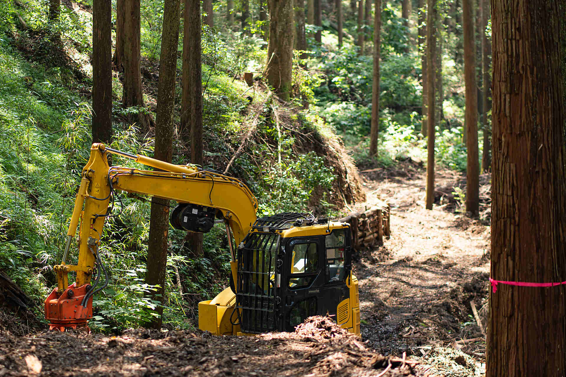 林道工事のイメージ画像